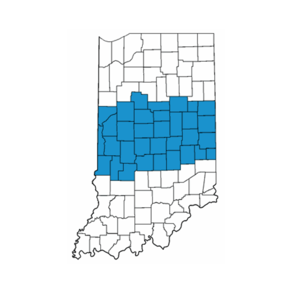Central Indiana Region for Indiana Boys & Girls Clubs